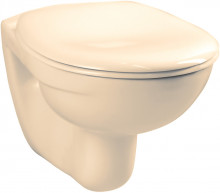 Produktbild: DIANA Aktiv Wand-WC-Tiefspüler Ausladung: 540 mm, bahamabeige